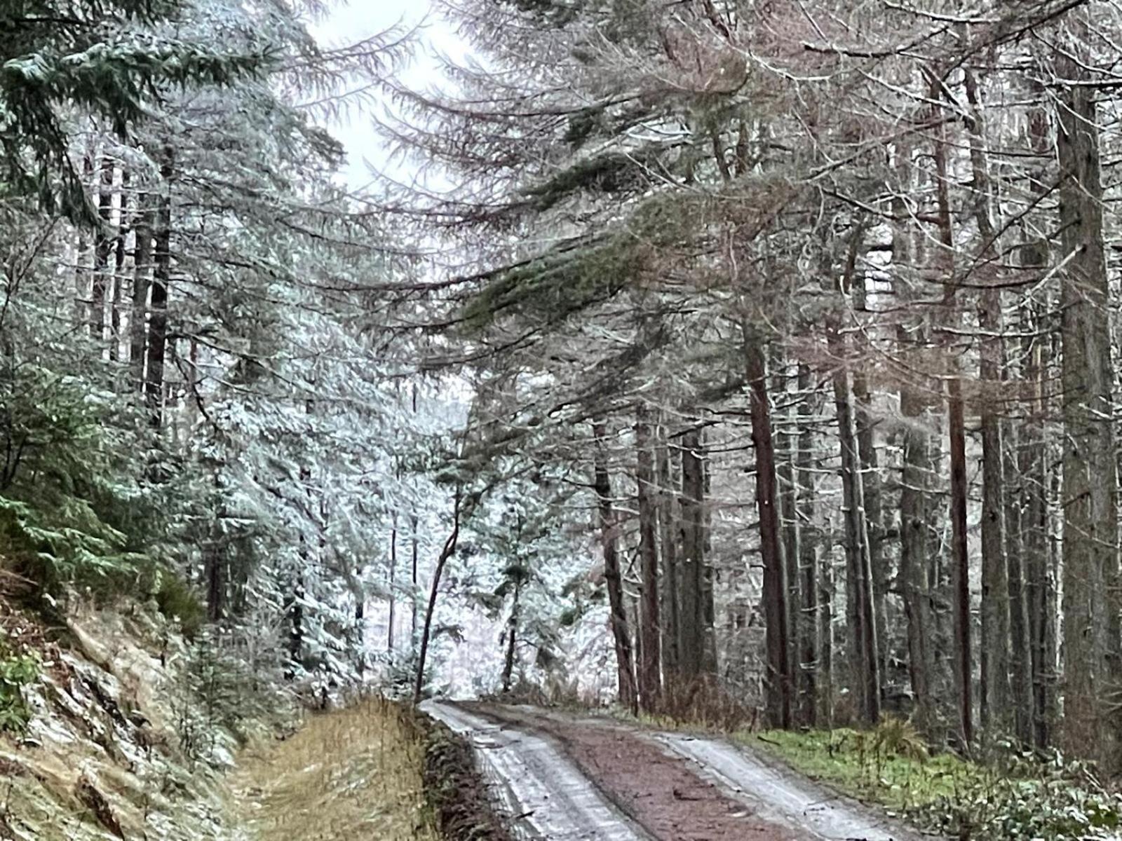 Yairbrig Holiday Galashiels Luaran gambar